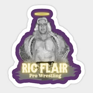 ric flair pro wrestling Sticker